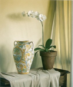 Orchid and Vase